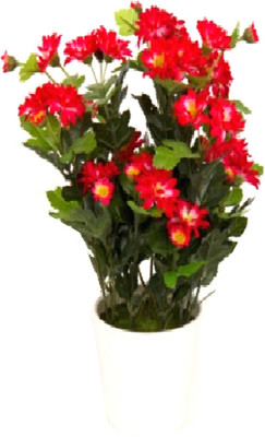 

Flowers Forever 15 Heads Mini Mum Red Assorted Artificial Flower with Pot(Pack of 1)