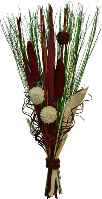 

Exotic Creations Multicolor Dried Sticks Artificial Flower(29.5 inch, Pack of 1)