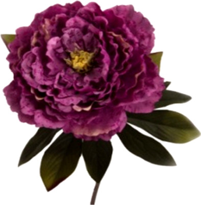

Flowers Forever Single Head Crack Pink Peony Artificial Flower(Pack of 1)