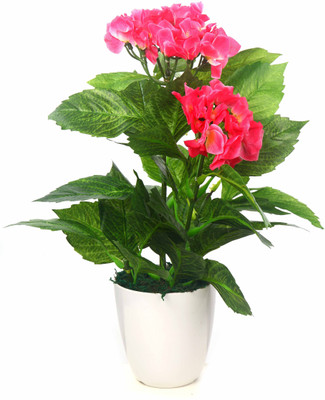 

Kusal Pink Assorted Artificial Flower with Pot(12 inch, Pack of 1)