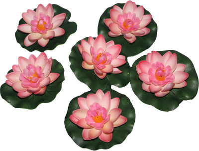 

Pollination Floating Lotus Pink Assorted Artificial Flower(5.5 inch, Pack of 6)
