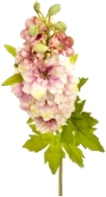 

Flowers Forever Single Larkspur Pink Assorted Artificial Flower(Pack of 1)