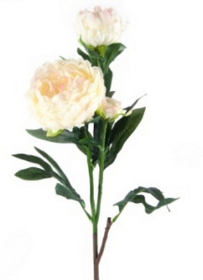 

Flowers Forever 3 Heads White Peony Artificial Flower(Pack of 1)