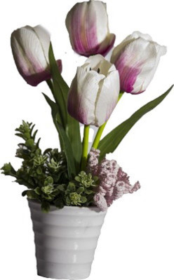 

Magical Petals Pink Tulips Artificial Flower with Pot(12 inch, Pack of 1)