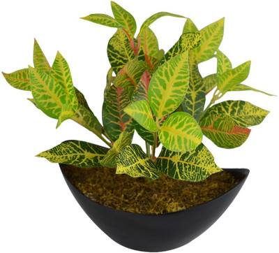 fancymart Green plant 1 bunch with bot Wild Artificial Plant  with Pot(25 cm, Multicolor)