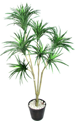 13% OFF on Fourwalls Artificial Plant(Green) 13% OFF on Fourwalls Artificial Plant(Green)
