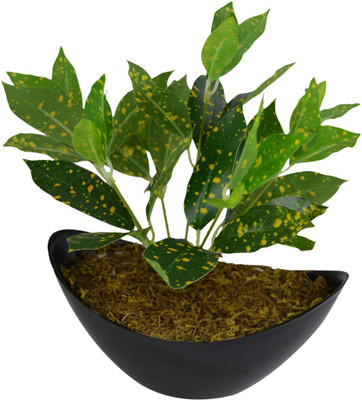 fancymart Green plant 1 bunch with bot Artificial Plant  with Pot(25 cm, Multicolor)