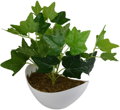 fancymart Green plant 1 bunch with bot Artificial Plant  with Pot(25 cm, Green)