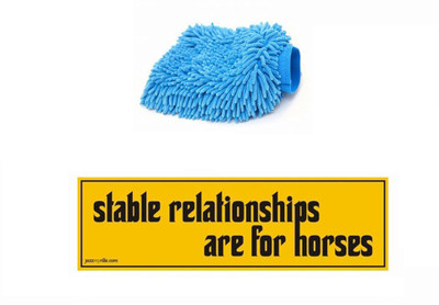 

Speedwav 1 Car Bumper Sticker-STABLE RELATIONSHIPS, 1 Microfiber Glove Combo