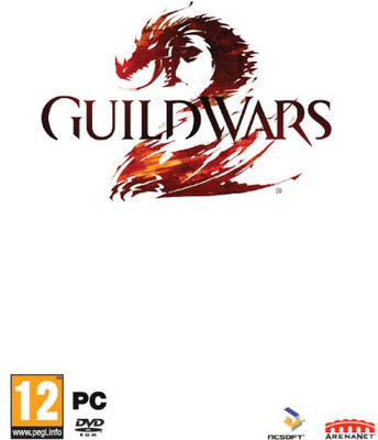 

Guild Wars 2(for PC)