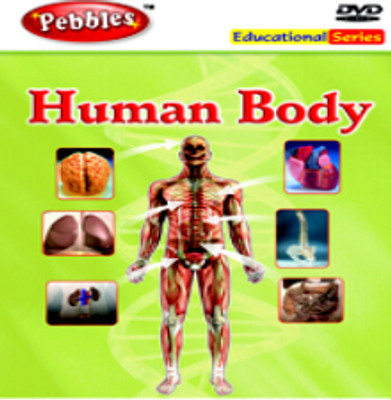 

Encyclopedia Of Human Body(DVD English)