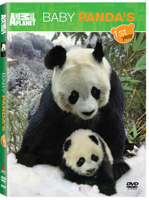 

Animal Planet - Baby Panda&Apos;s First Year(DVD English)