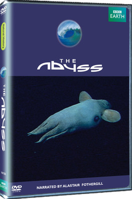

The Abyss Complete(DVD English)