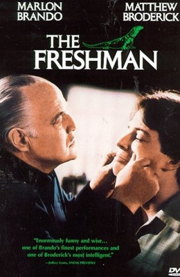 

The Freshman(DVD English)