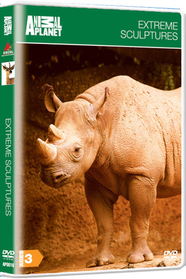 

Extreme Sculptures Complete(DVD English)