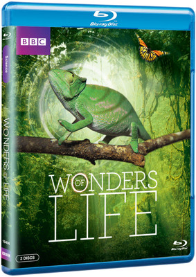 

Wonders of Life Complete(Blu-ray English)