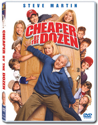 Cheaper By The Dozen(DVD English)
