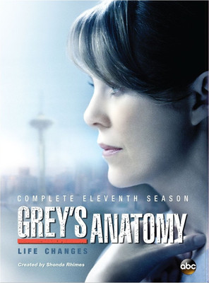 

Grey's Anatomy - 11 11 (Complete Eleventh Season)(DVD English)