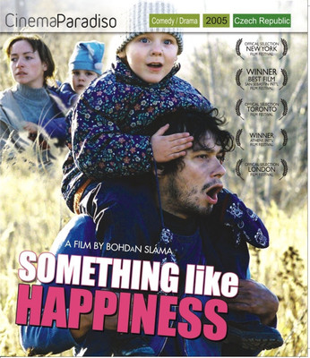 

Something Like Happiness(DVD English)