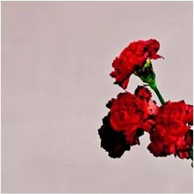 

Love In The Future - Deluxe Audio CD Deluxe Edition(English - John Legend)