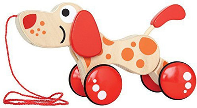 

Hape Walk-A-Long Puppy Rattle(Multicolor)