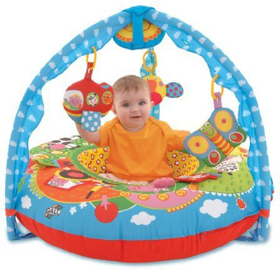 

Galt Toys Inc First Years Farm Playnest and Gym Rattle(Multicolor)
