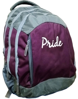 

Pride Star Safire 25 L Laptop Backpack(Purple)