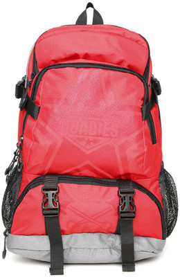 

The Vertical Peak 15 L Laptop Backpack(Red)