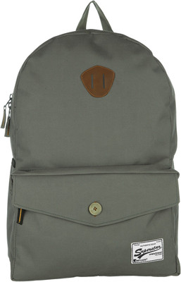 

Impulse Flap Pocket Grey 20 L Laptop Backpack(Grey)