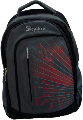 

Skyline 058 21 L Trolley Laptop Backpack(Grey)