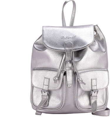 

The Zoya Life Zoya 2 L Backpack(Silver)