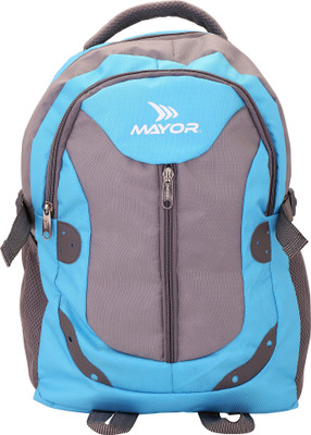 

Mayor 17 inch Laptop Backpack(Blue), Turquoise green / grey