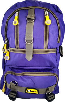 

Grevity GR17 21 L Medium Backpack(Purple)