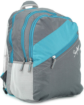 

Skybags Neon 03 Backpack(Grey, Blue), Grey and blue
