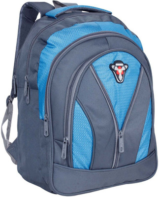 

Sensor Macasa 32 L Backpack(Blue, Grey)