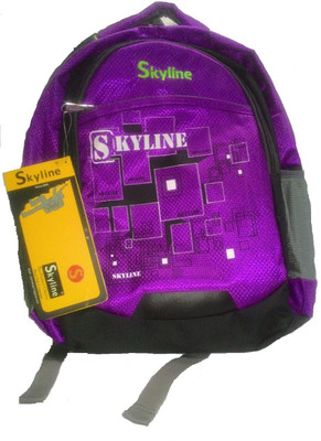 

Skyline 052 58 L Laptop Backpack(Purple)