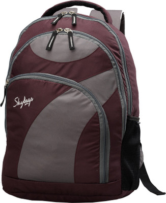 Skybags Backpack(Purple)