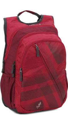 

Skybags 26.5 L Backpack(Grey, Red)