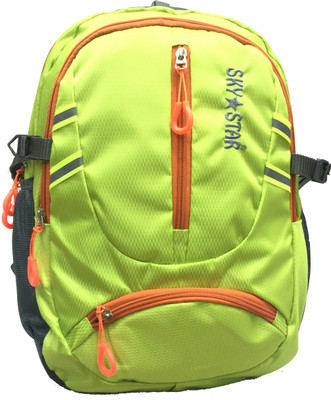 

Skystar 1166 Green 20 L Backpack(Multicolor)