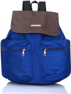 

Caprese ALISTAIR MEDIUM 2 L Medium Backpack(Blue), Mint-brown