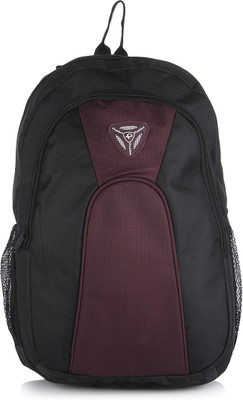 

President Casmo 23 L Laptop Backpack(Multicolor)