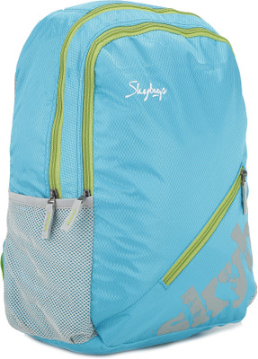 

Skybags Pulse-05 Backpack(Blue, Grey)