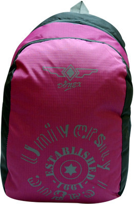 

Donex 215E 19 L Backpack(Purple), Purple and grey