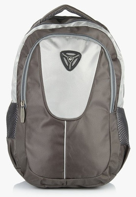 

President COSMO-GREY 40 L Medium Backpack(Grey)
