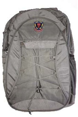 

NSN Backpack 3 L Laptop Backpack(Grey)
