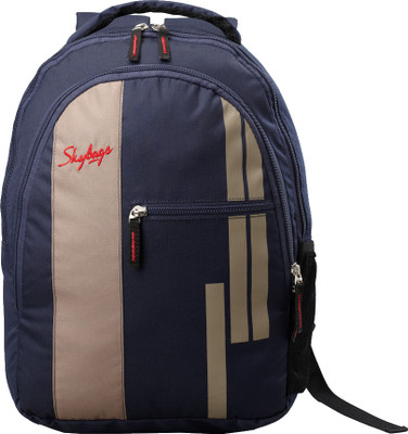 

Skybags Dash 03 Large Backpack(Blue)