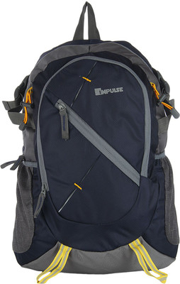 

Impulse support 25 L Laptop Backpack(Blue)