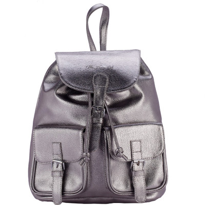 

The Zoya Life Zoya 2 L Backpack(Grey), Gun metal
