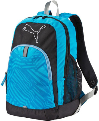 

Puma Echo 25 L Laptop Backpack(Blue), Navy