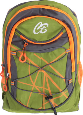 

BAGSTEK Striped 20 L Laptop Backpack(Multicolor)